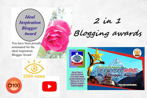 2 in 1 blogging awards.